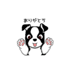 Doggy Daily 〜動くスタンプ〜（個別スタンプ：19）