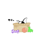 Doggy Daily 〜動くスタンプ〜（個別スタンプ：20）