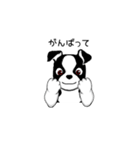 Doggy Daily 〜動くスタンプ〜（個別スタンプ：22）