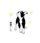 Doggy Daily 〜動くスタンプ〜（個別スタンプ：23）