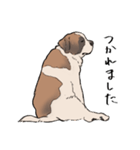 おっとりセントバーナード（個別スタンプ：4）