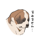 おっとりセントバーナード（個別スタンプ：6）
