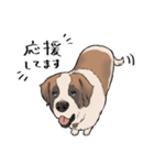 おっとりセントバーナード（個別スタンプ：19）