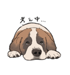 おっとりセントバーナード（個別スタンプ：28）