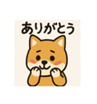 柴犬スタンプ@（個別スタンプ：5）