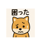 柴犬スタンプ@（個別スタンプ：6）