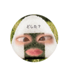 かいちゃまな日常（個別スタンプ：15）