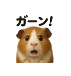 リアルなモルモットの日常感情日記ライン（個別スタンプ：3）