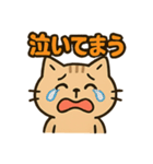 関西弁のねこ！？（個別スタンプ：11）