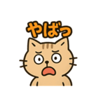 関西弁のねこ！？（個別スタンプ：38）