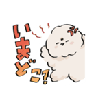 ビショまるのにちじょー（個別スタンプ：6）