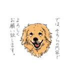 藁にもすがれない（個別スタンプ：31）