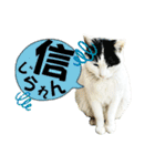 のら猫大福の生活③（個別スタンプ：18）
