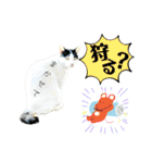 のら猫大福の生活③（個別スタンプ：20）