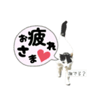 のら猫大福の生活③（個別スタンプ：21）