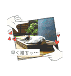 のら猫大福の生活③（個別スタンプ：22）
