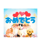 のら猫大福の生活③（個別スタンプ：23）