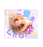 のら猫大福の生活③（個別スタンプ：27）