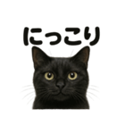 リアルな黒猫の感情表現日記ラインスタンプ（個別スタンプ：7）