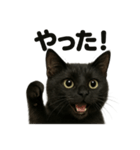リアルな黒猫の感情表現日記ラインスタンプ（個別スタンプ：13）