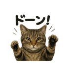 リアルなキジトラ猫の日常感情表現日記（個別スタンプ：6）