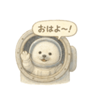 ふわふわ宇宙アザラシスタンプ（個別スタンプ：2）