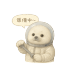 ふわふわ宇宙アザラシスタンプ（個別スタンプ：13）