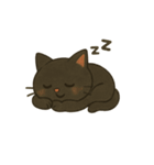 黒ねこちゃんの1日（個別スタンプ：11）