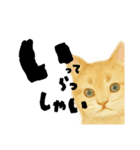 【しずかに寄り添う】リアルねこのことば（個別スタンプ：4）