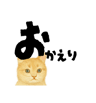 【しずかに寄り添う】リアルねこのことば（個別スタンプ：6）