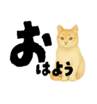 【しずかに寄り添う】リアルねこのことば（個別スタンプ：7）