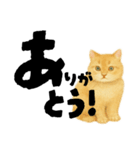 【しずかに寄り添う】リアルねこのことば（個別スタンプ：8）