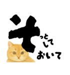 【しずかに寄り添う】リアルねこのことば（個別スタンプ：11）