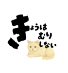 【しずかに寄り添う】リアルねこのことば（個別スタンプ：16）