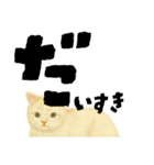 【しずかに寄り添う】リアルねこのことば（個別スタンプ：19）