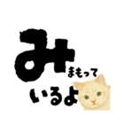 【しずかに寄り添う】リアルねこのことば（個別スタンプ：20）