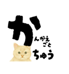 【しずかに寄り添う】リアルねこのことば（個別スタンプ：25）