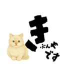 【しずかに寄り添う】リアルねこのことば（個別スタンプ：27）