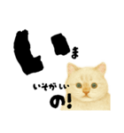 【しずかに寄り添う】リアルねこのことば（個別スタンプ：29）