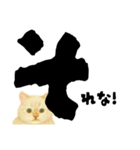 【しずかに寄り添う】リアルねこのことば（個別スタンプ：32）