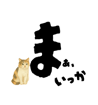 【しずかに寄り添う】リアルねこのことば（個別スタンプ：34）