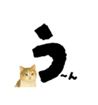 【しずかに寄り添う】リアルねこのことば（個別スタンプ：35）