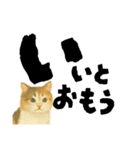 【しずかに寄り添う】リアルねこのことば（個別スタンプ：36）