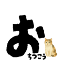 【しずかに寄り添う】リアルねこのことば（個別スタンプ：37）