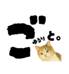 【しずかに寄り添う】リアルねこのことば（個別スタンプ：39）