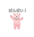 ピンクのクマさん ぴんくまの日常（個別スタンプ：5）