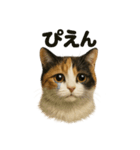 リアルな三毛猫の日常感情表現日記ライン（個別スタンプ：1）
