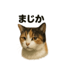 リアルな三毛猫の日常感情表現日記ライン（個別スタンプ：4）