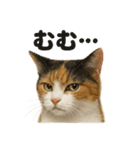 リアルな三毛猫の日常感情表現日記ライン（個別スタンプ：14）