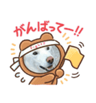 ぽろ（5）-2（個別スタンプ：5）